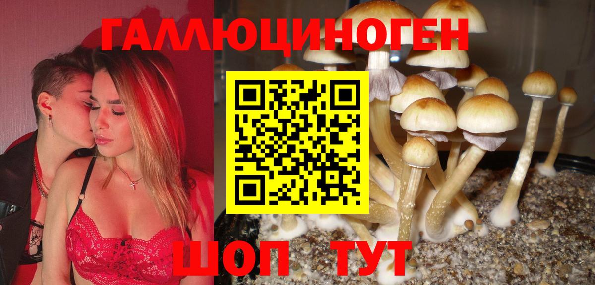 Галлюциногенные грибы MAGIC MUSHROOMS  Вход с VPN  Сергиев Посад 