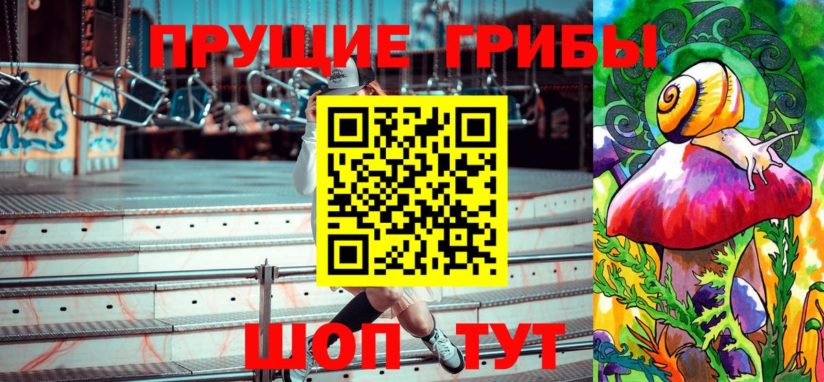 Псилоцибиновые грибы мицелий Сергиев Посад